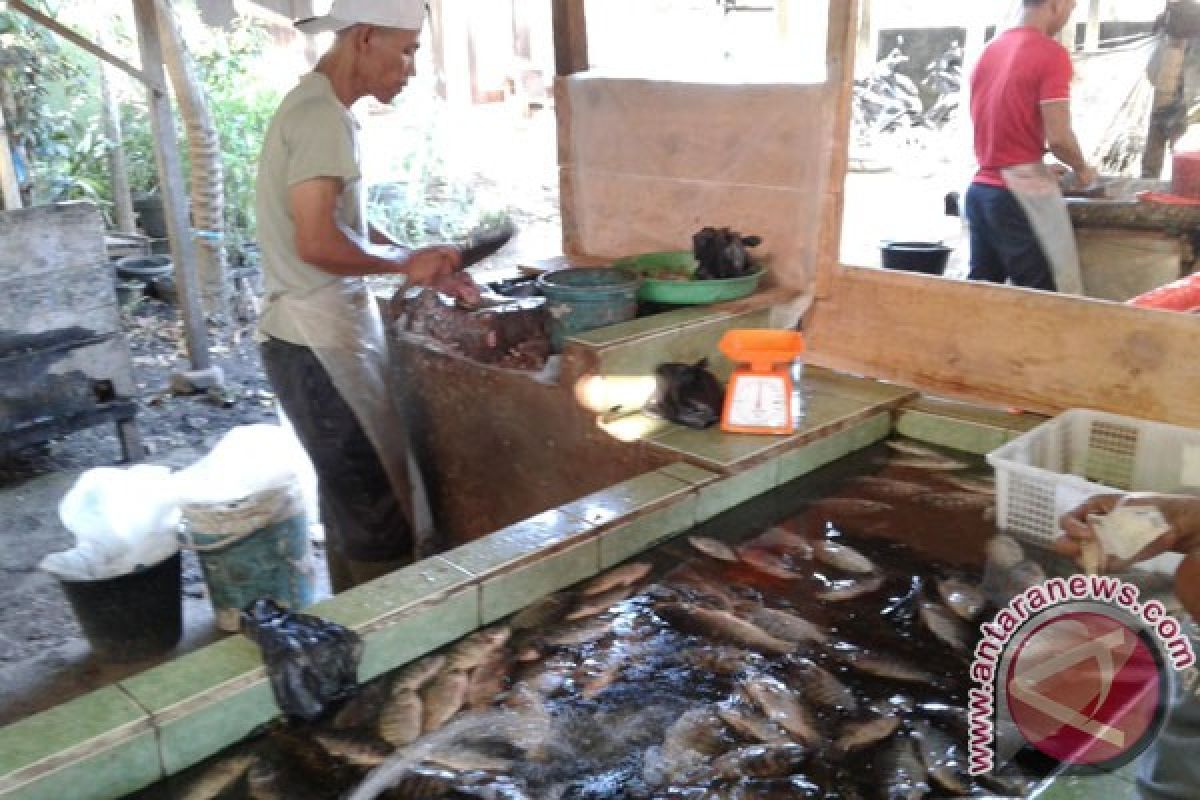 Pedagang Ikan Air Tawar Kekurangan Pasokan