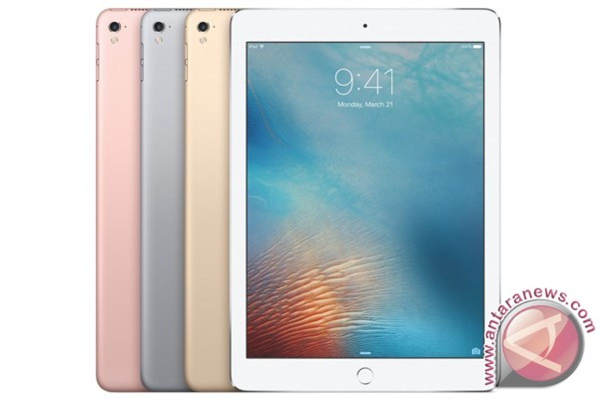 Apple Luncukkan 4 Model iPad Pro Dalam Waktu Dekat