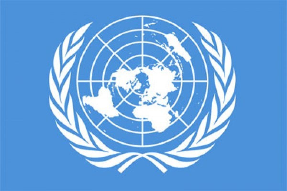 PBB: Yaman Berada Di Pinggir Jurang Kelaparan