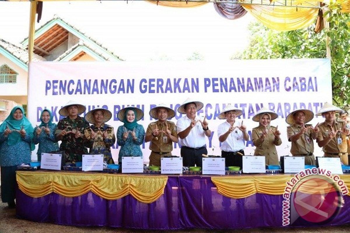 Waykanan, Kabupaten Pertama Laksanakan Gertam Cabai