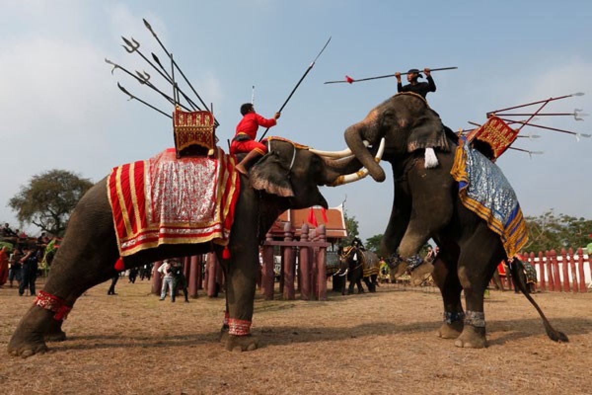 Gajah berwarna Thailand semprotkan air ke wisatawan, buang sial