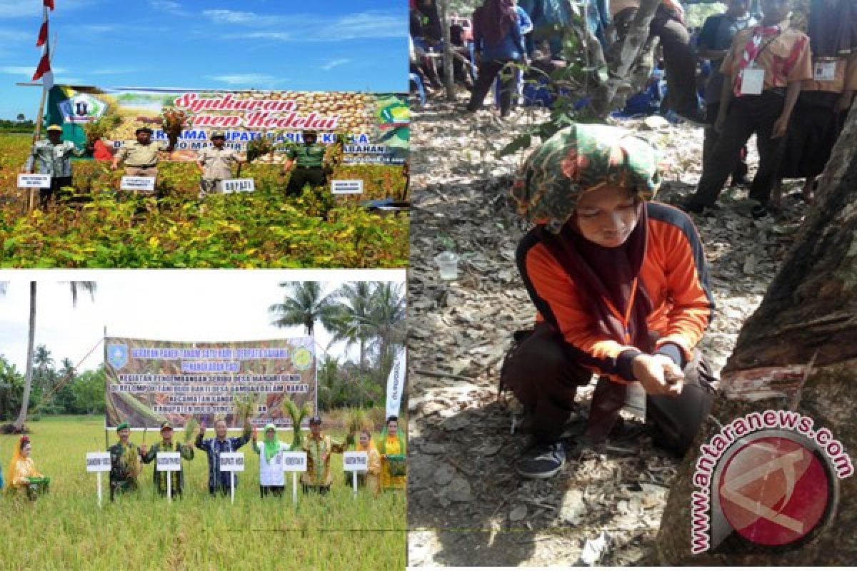 Tapin Bangun Pusat Pengembangan Pertanian Terpadu 