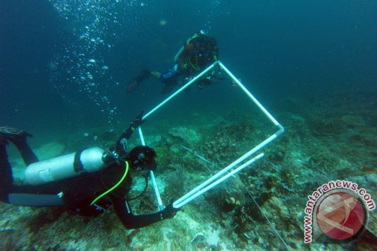 Wilayah survei kerusakan terumbu karang Raja Ampat