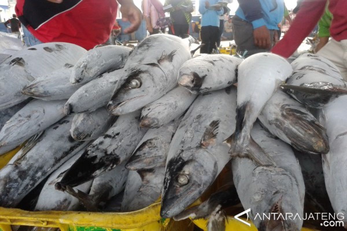 Nelayan Pati Nikmati Kenaikan Harga Jual Ikan