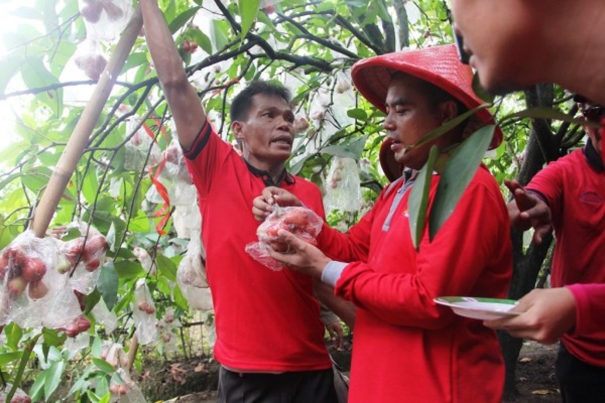 Kenalkan destinasi baru, Purbalingga intensifkan promosi pariwisata