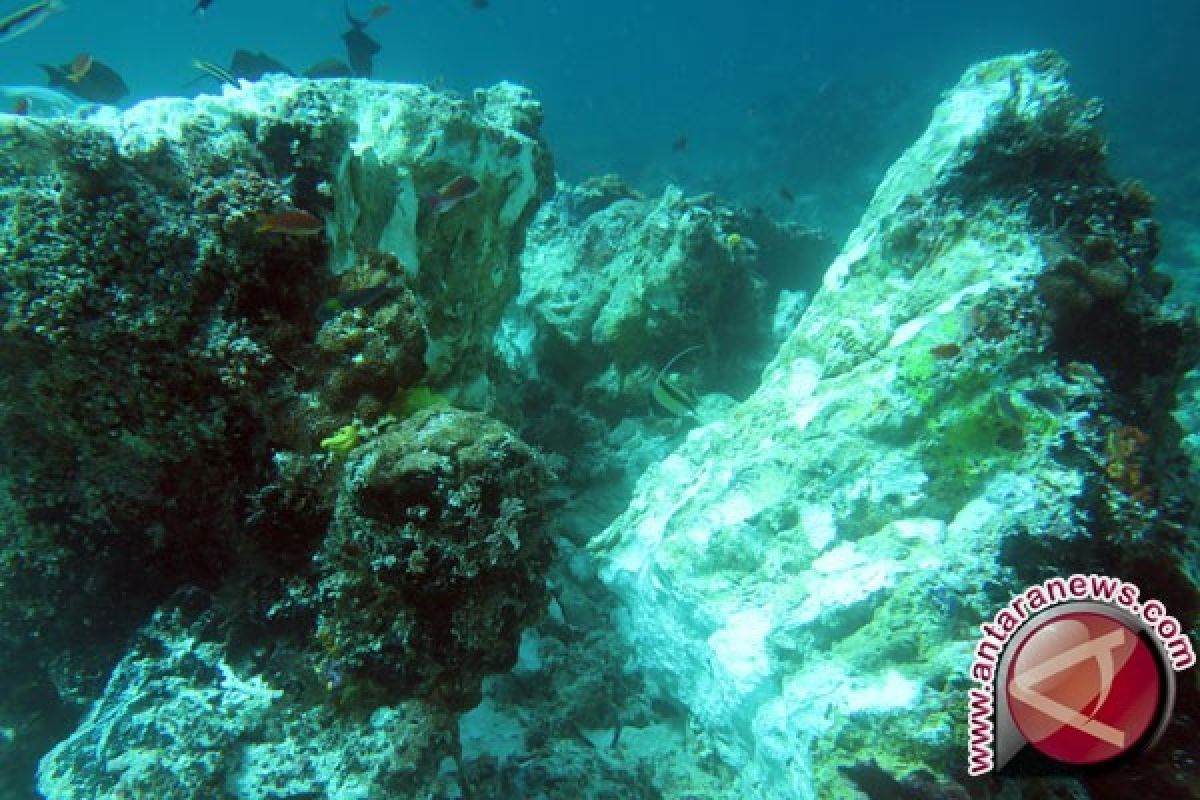 Pemerintah Segera Gugat Terkait Kerusakan Raja Ampat