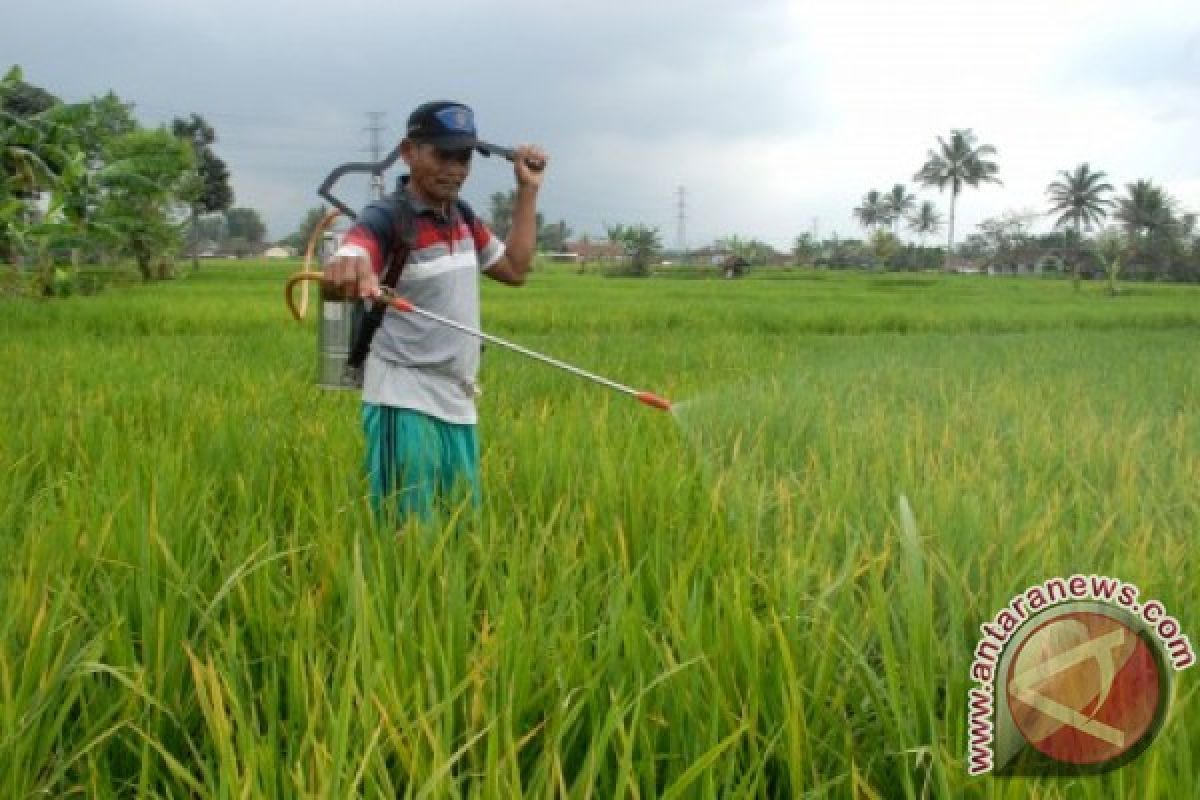 Sukabumi waspadai penyebaran hama tanaman