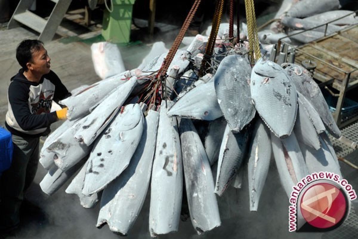 Ikan beku Makassar ditarget masuk pasar Eropa