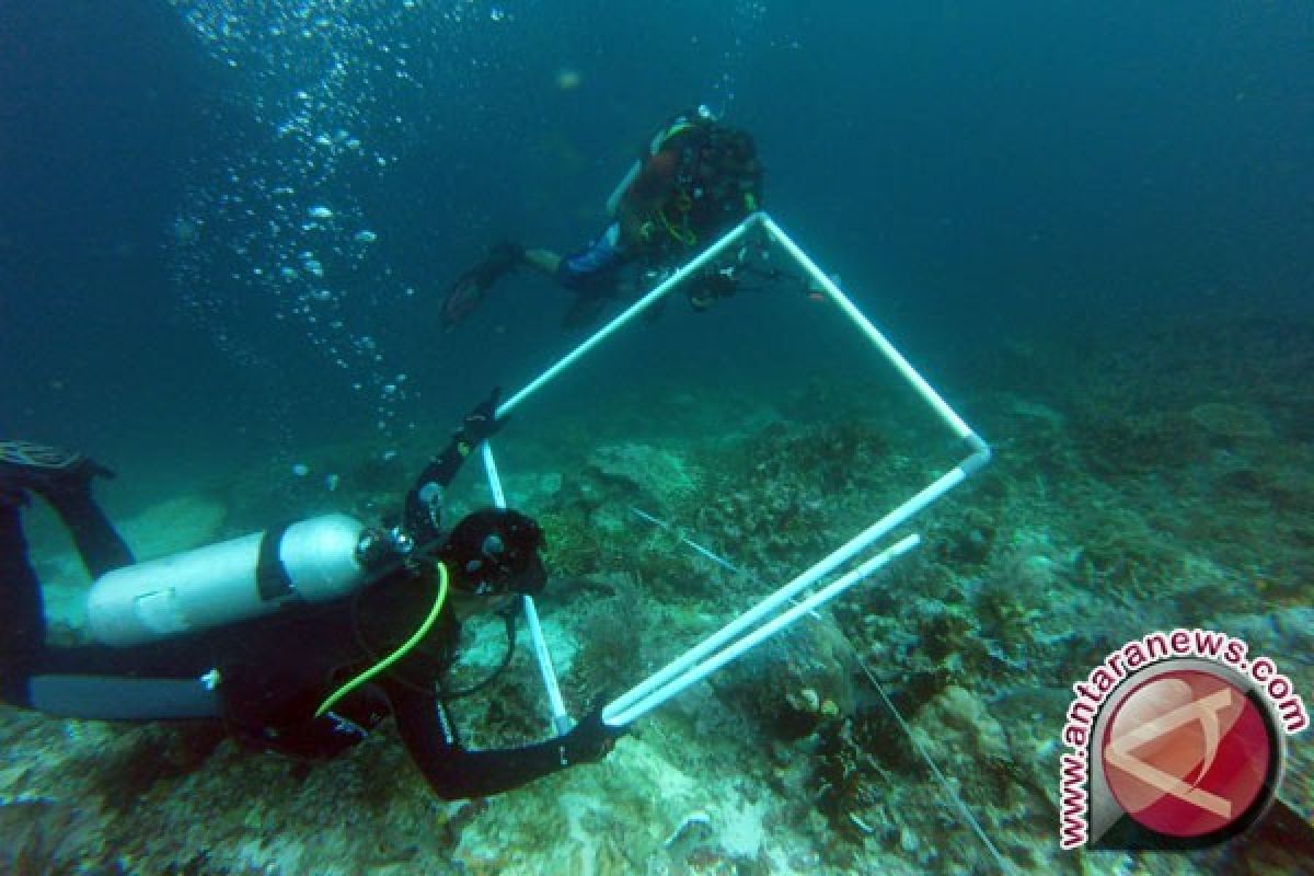 Pemerintah Ambil Langkah Tangani Kerusakan Raja Ampat