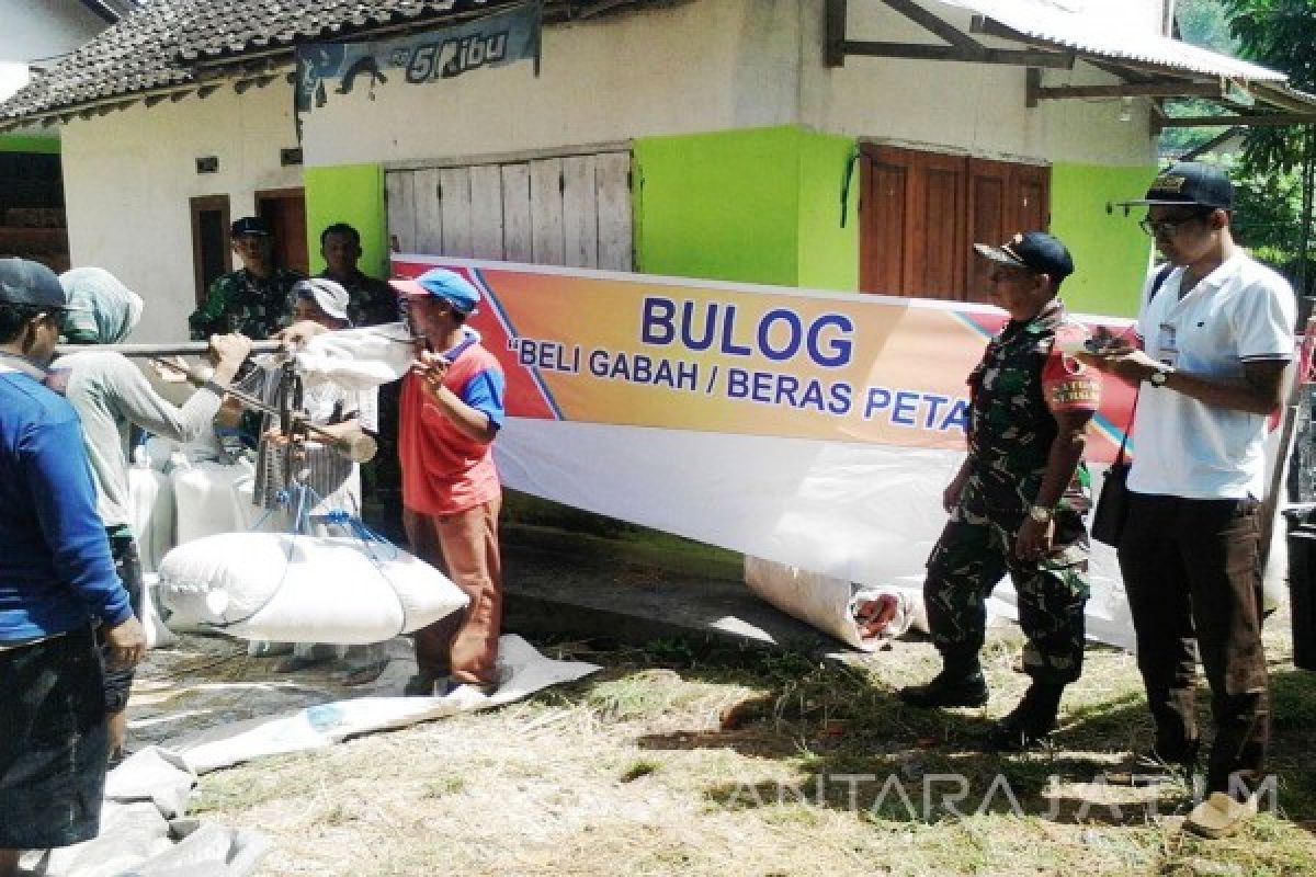 Serapan Gabah-Beras Bulog Jember Capai 72 Persen