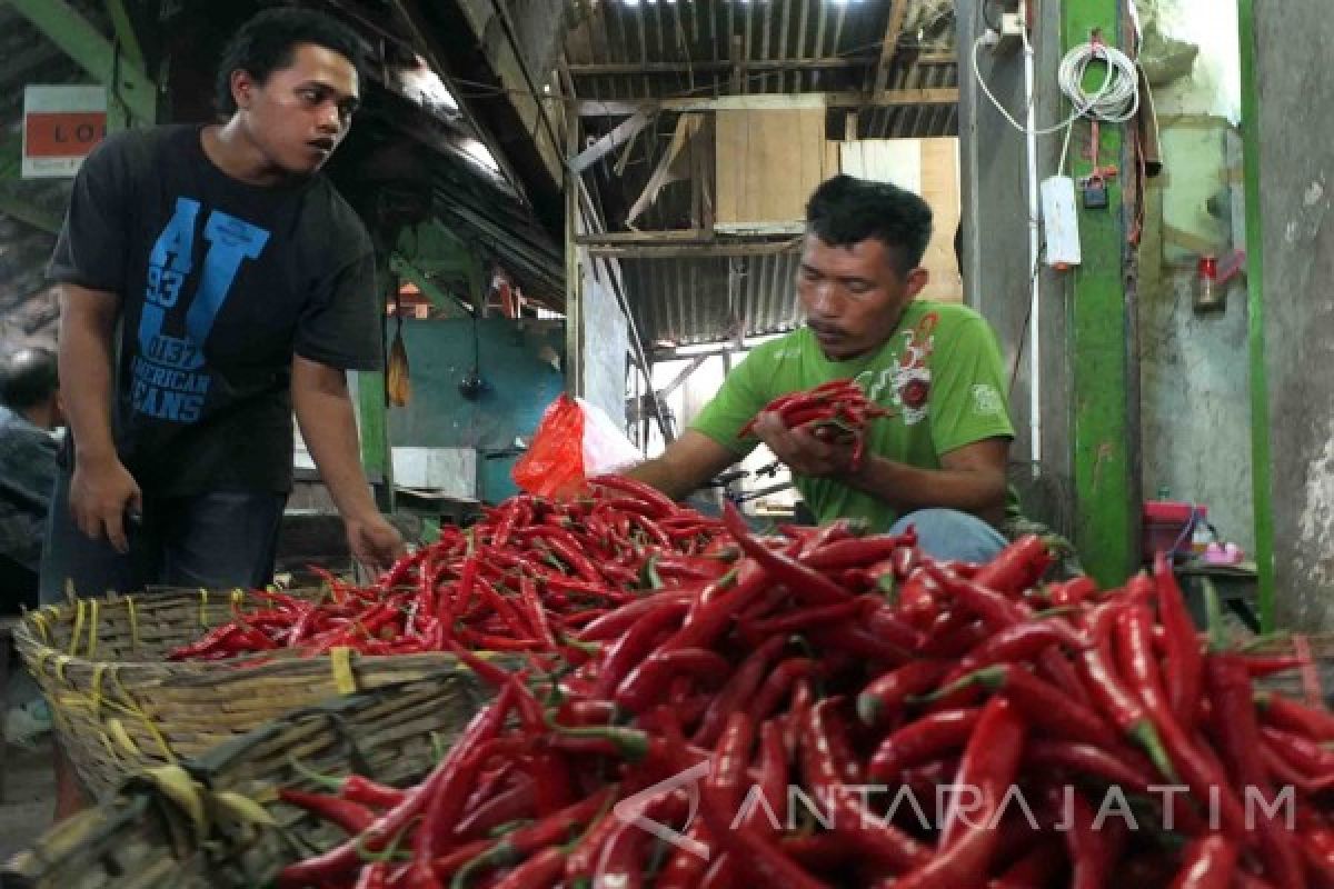 Harga Cabai di Jember Terus Turun