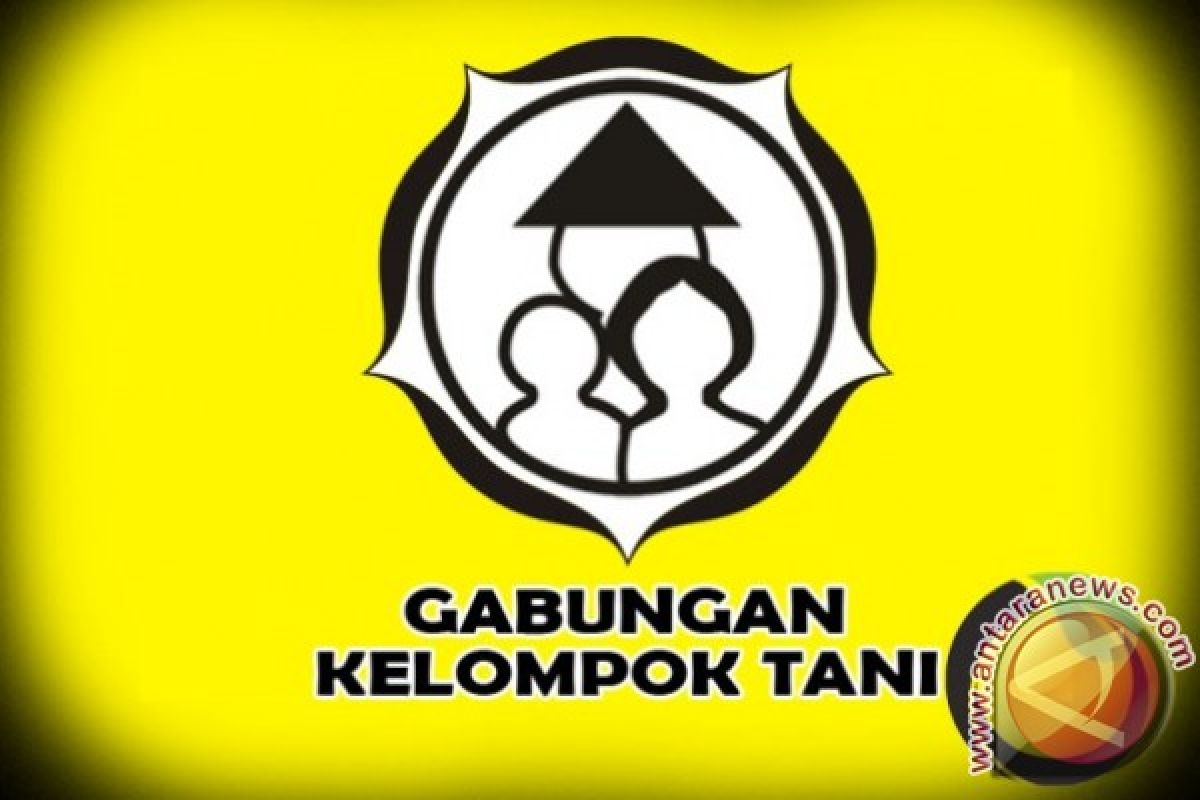 Menyedihkan! Ada Gapoktan Dibentuk Hanya Untuk Dapat Bantuan Lalu Bubar