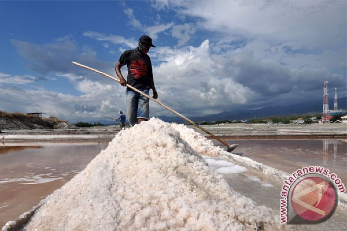 Faktor Cuaca Penyebab Petani Garam Tidak Produksi 