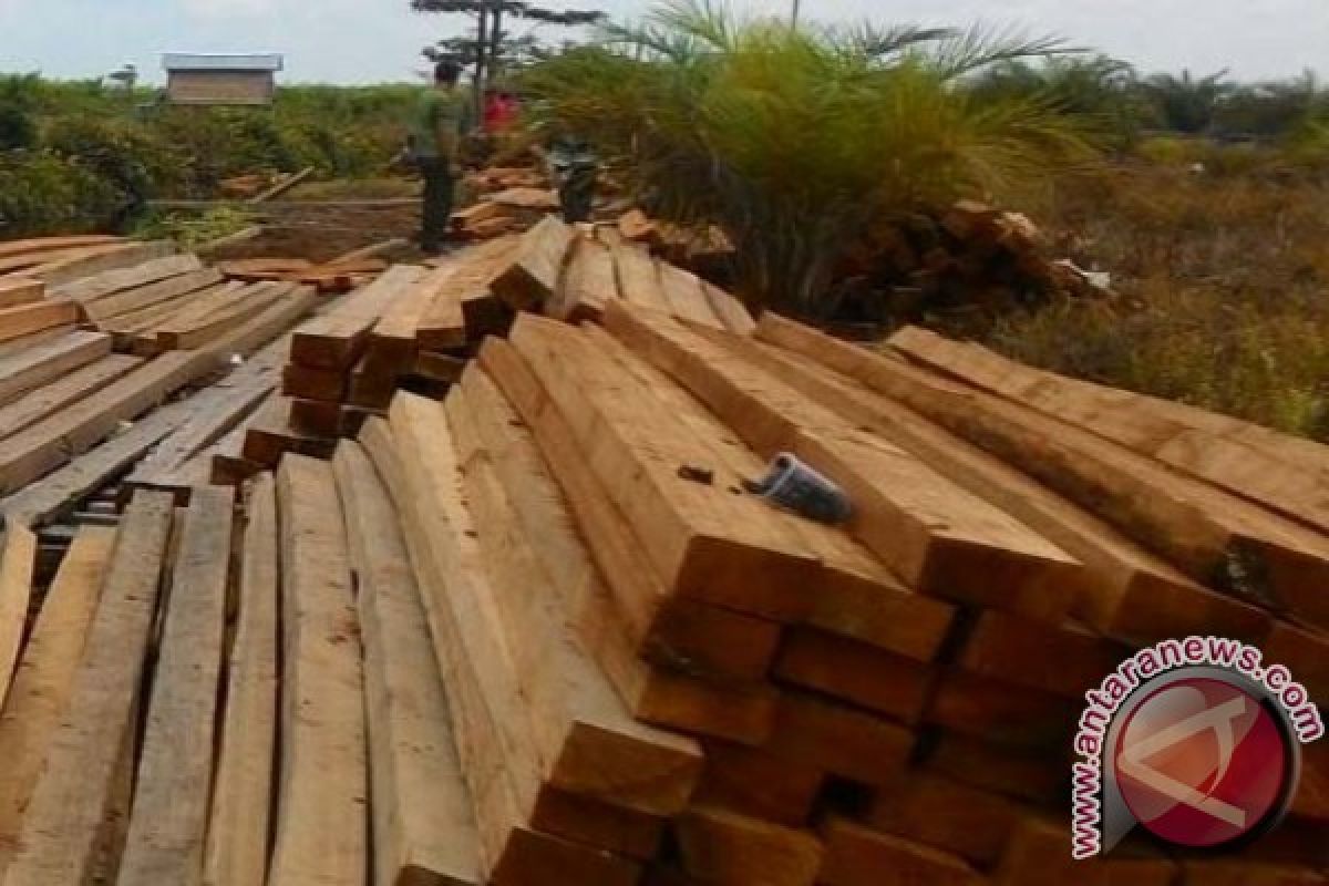 Korem Gapu Jambi amankan ribuan kayu ilegal