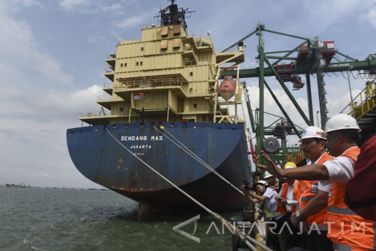 Menteri Luhut Tegaskan Tuntaskan soal Karang Raja Ampat