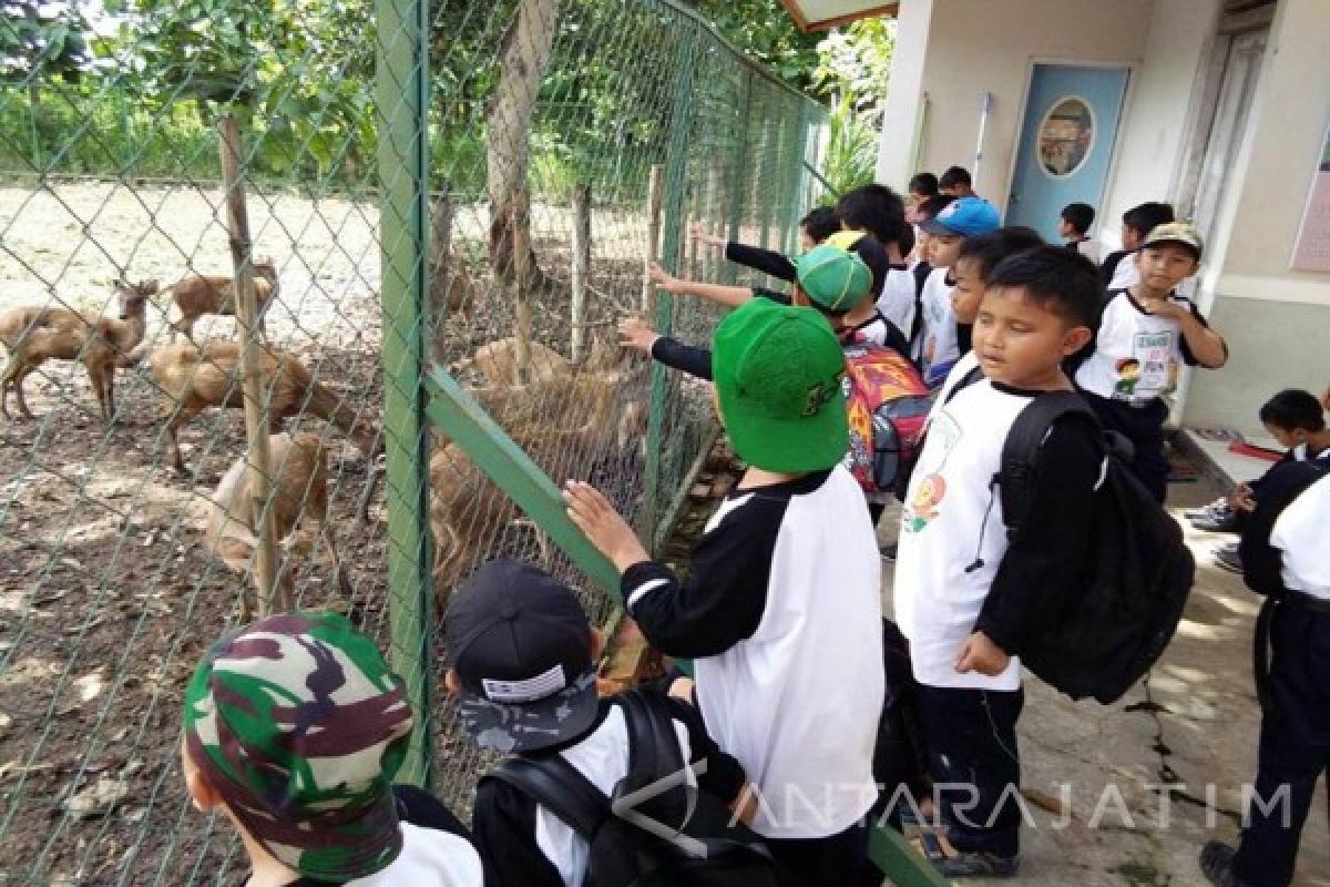 Penangkaran Rusa di Bojonegoro Jadi Wisata Edukasi