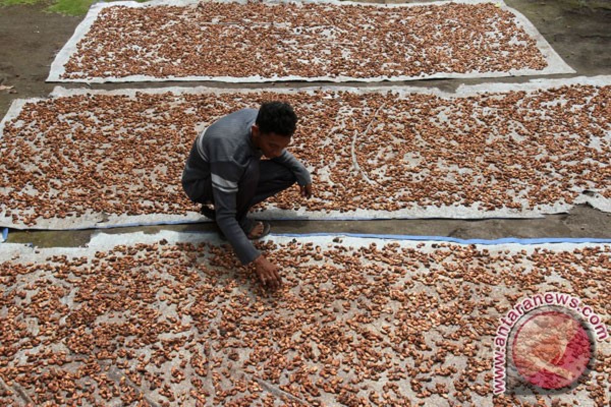 Kemendag : perdagangan berjangka komoditi belum sesuai harapan