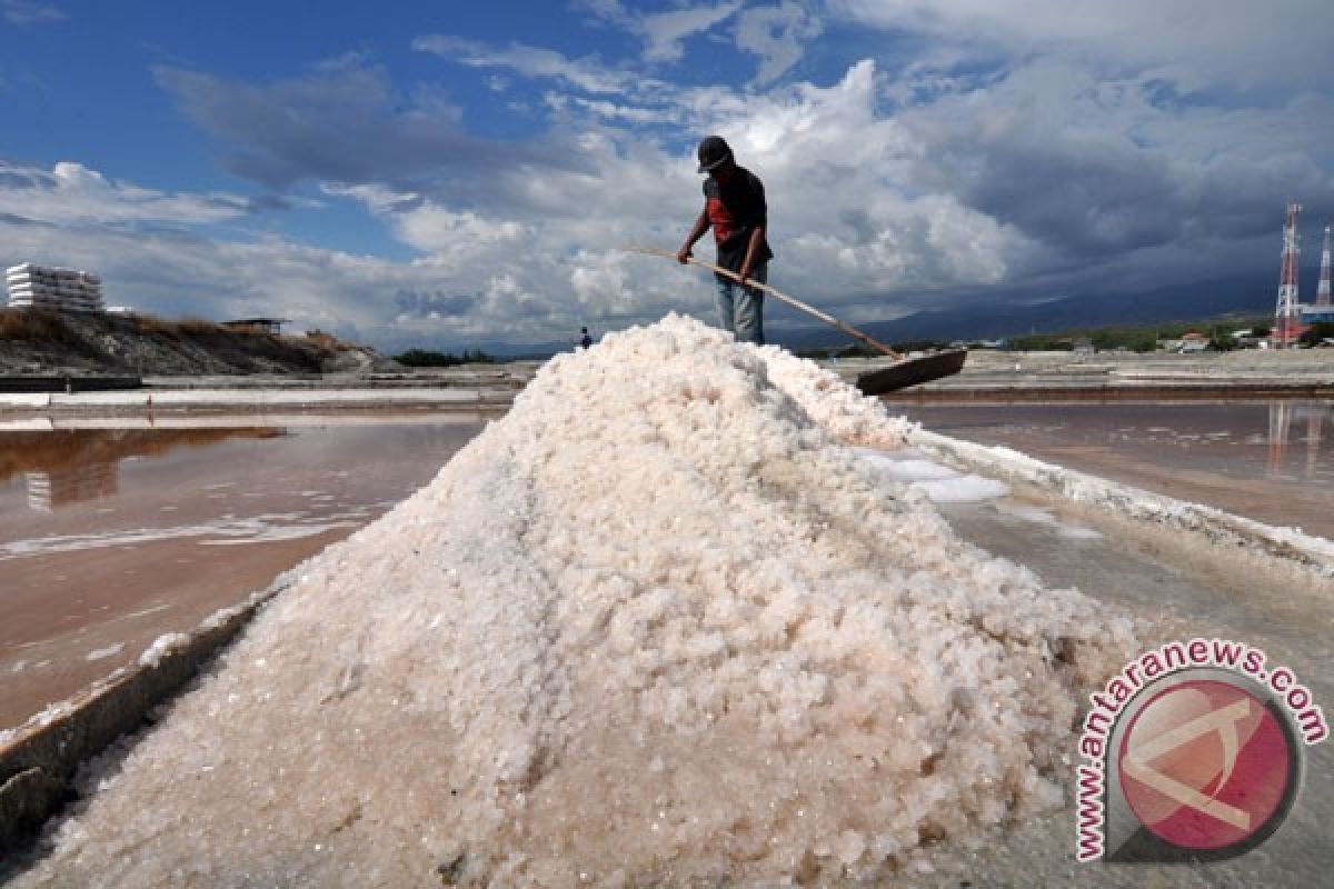 Pemerintah menyiapkan tata niaga impor garam