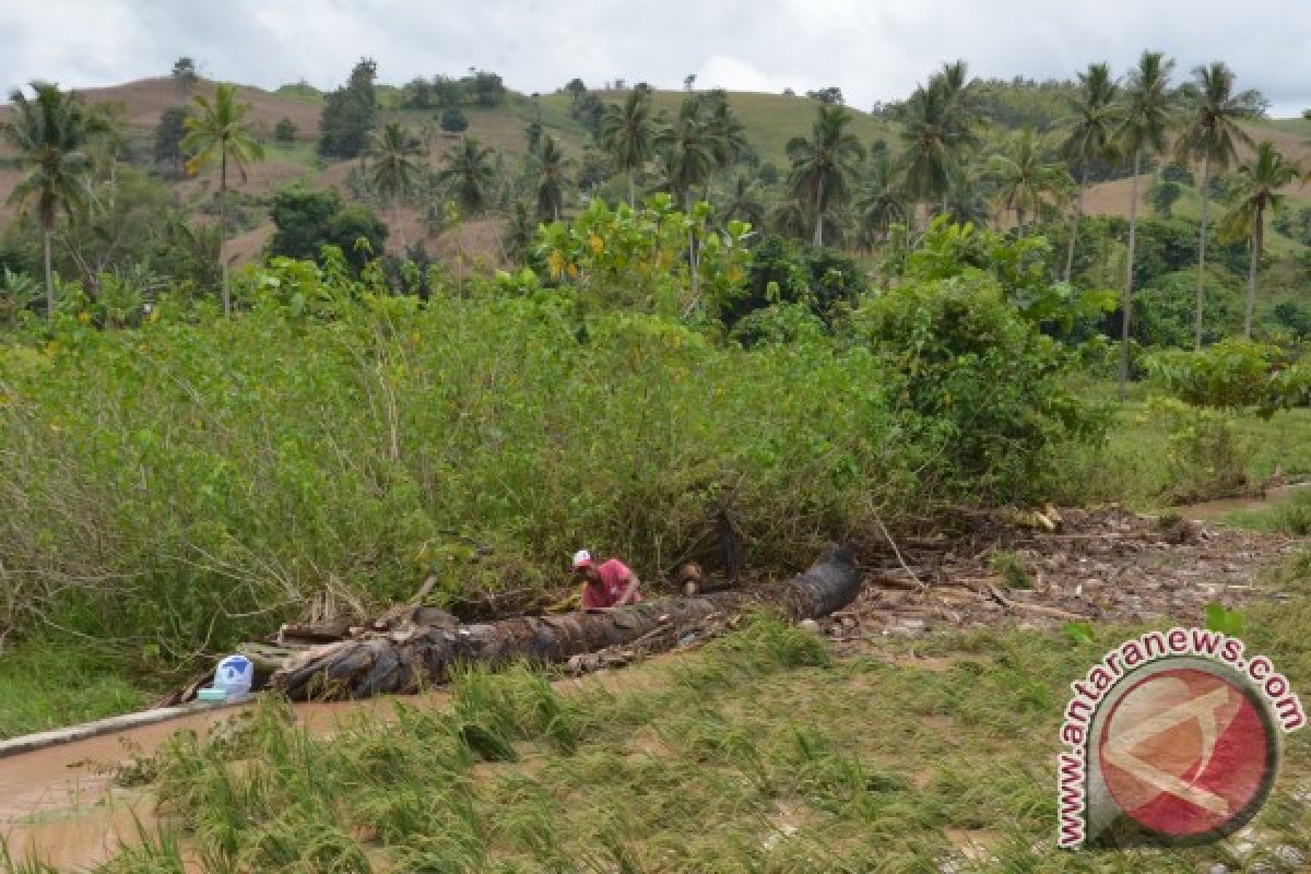 Petani Di Gorontalo Alami Kerugian Akibat Banjir