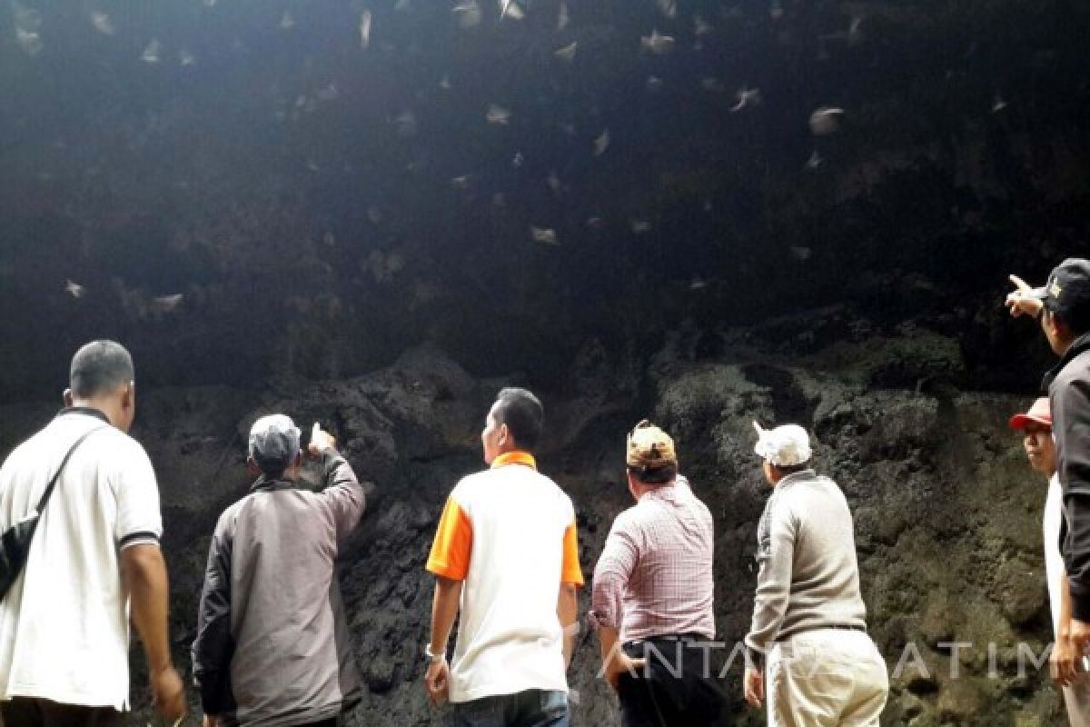 Goa Batman Dukung Destinasi Wisata Gunung Bromo