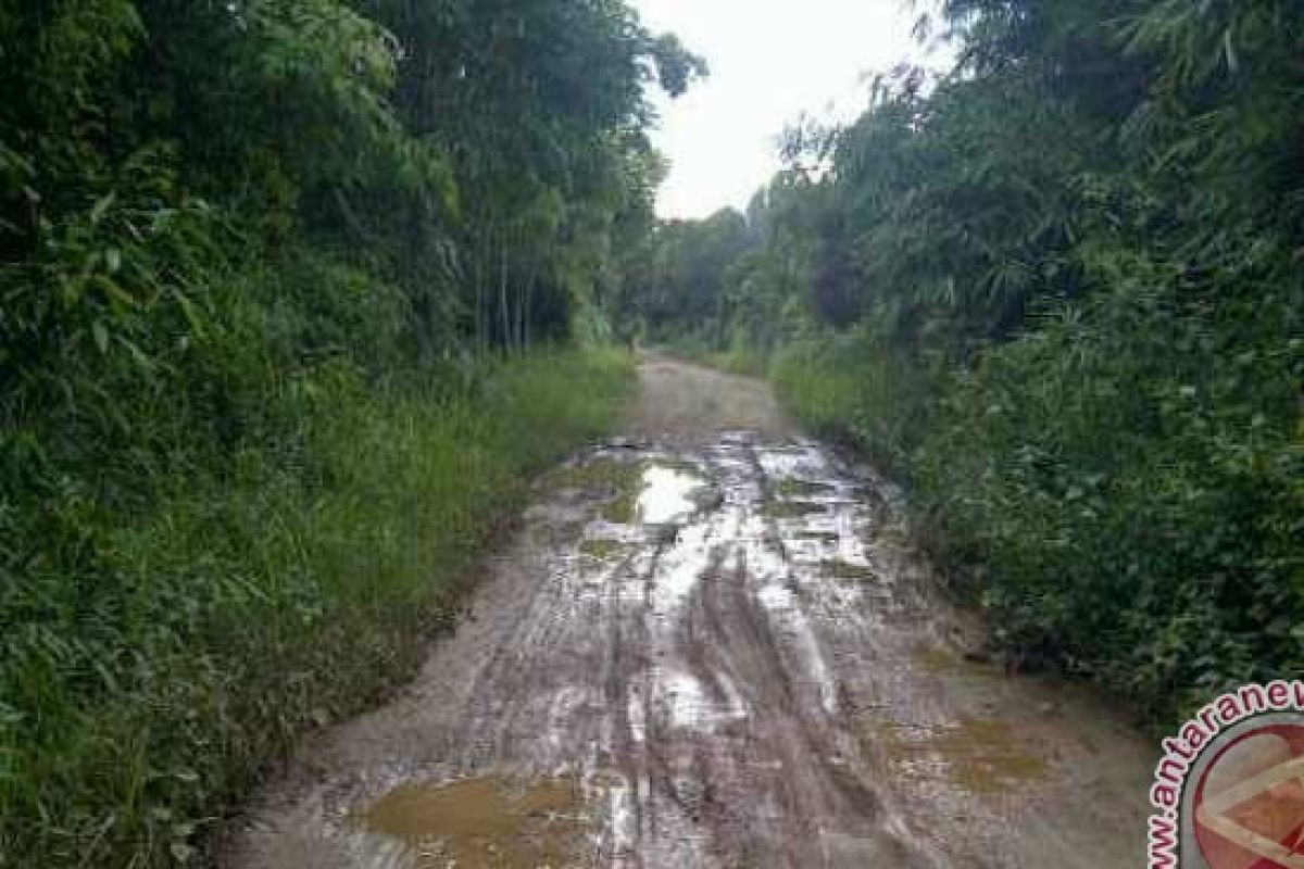 Jalan Rusak, Warga Paju Epat Bartim Tuding Penyebabnya Angkutan PT ISA 