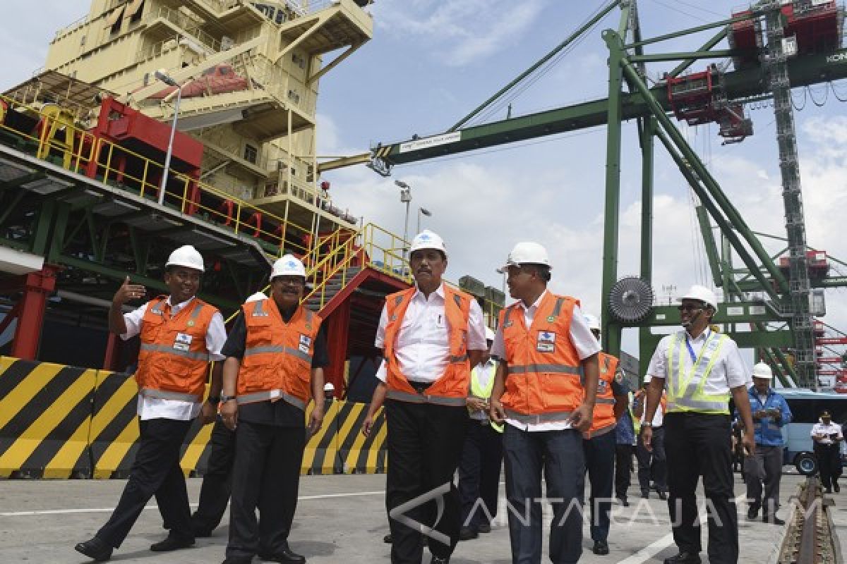 Luhut : Tim Terpadu Masih Investigasi Kerusakan Karang Raja Ampat