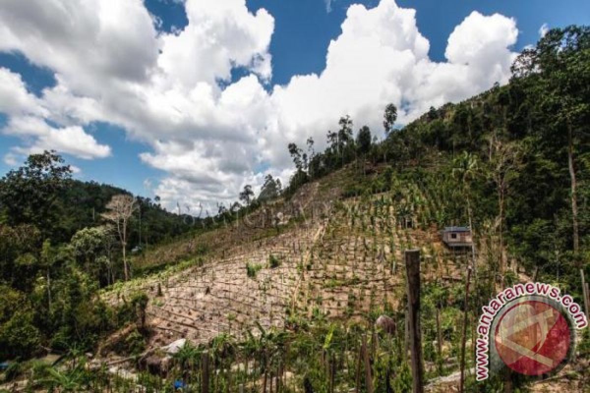Pemkab Bangka Tengah Inventarisasi Kawasan Hutan Mangkol