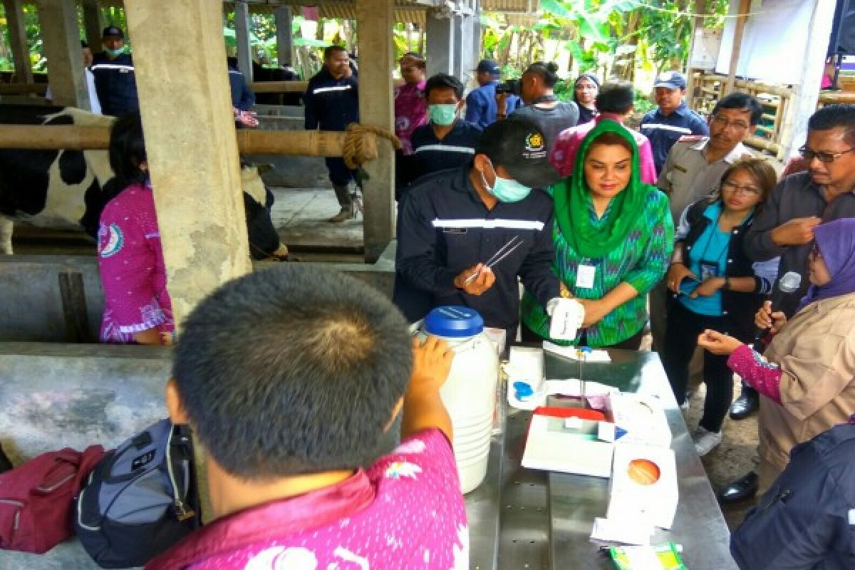 1.500 Sapi di Semarang Target Inseminasi Buatan