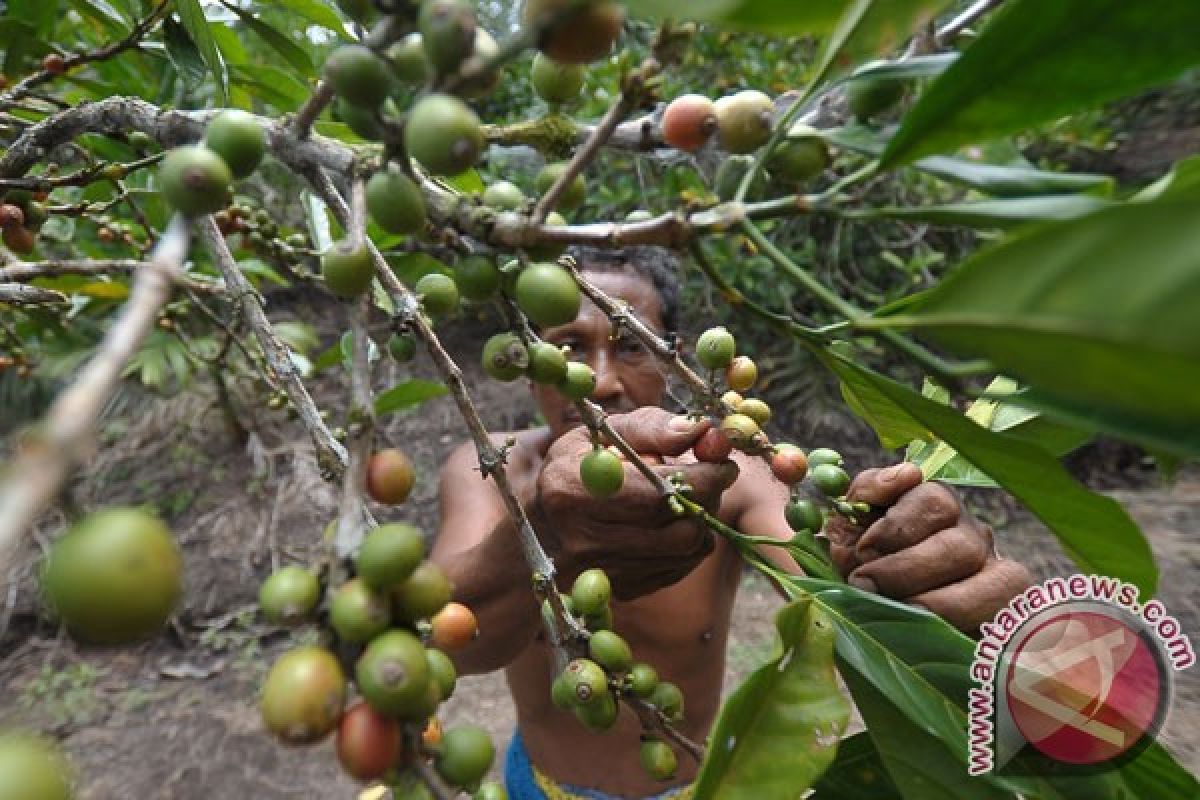 Republik Kongo jadikan Kalbar referensi restorasi gambut