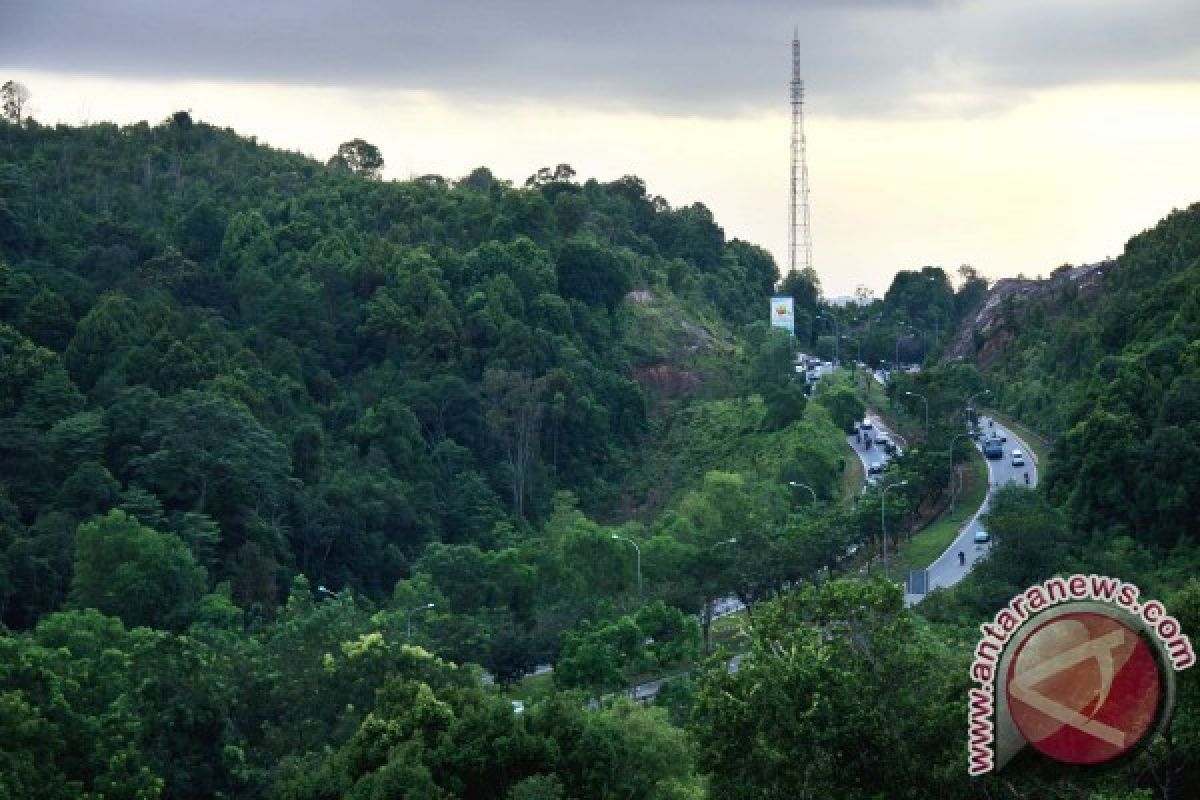 Babel miliki 189 hektare hutan lindung