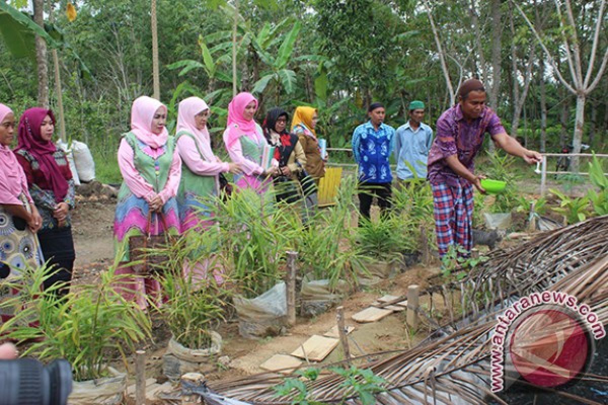 Tapin govt encourages students planting chilli