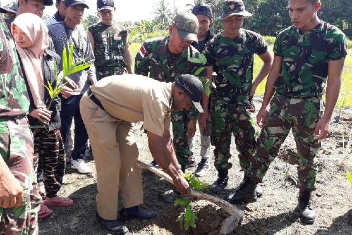 Satgas Yonif 122/TS tanam seribuan anakan pohon di Keerom