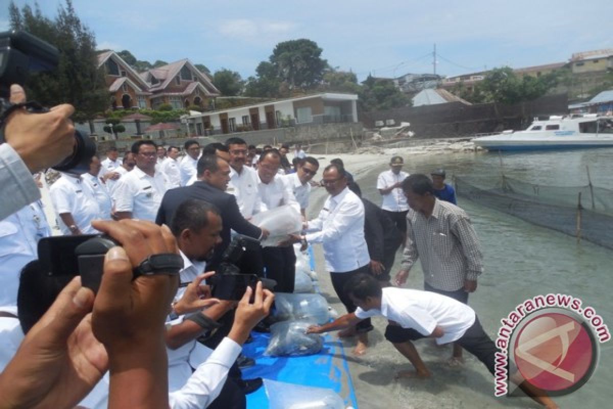 Puluhan Ribu Ikan Ditabur di Danau Toba