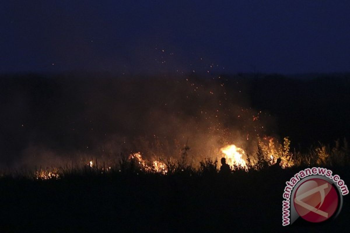 Dua titik api masih terdeteksi di Riau