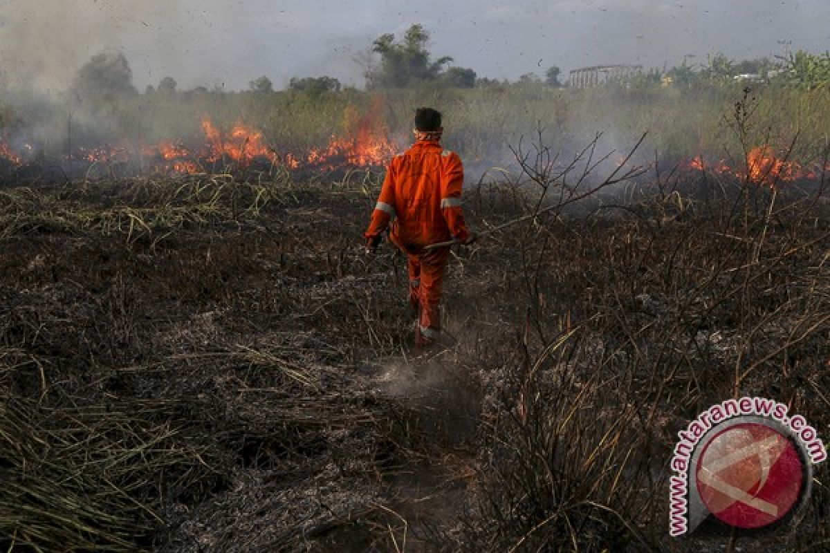 10 titik panas terdeteksi di Jambi