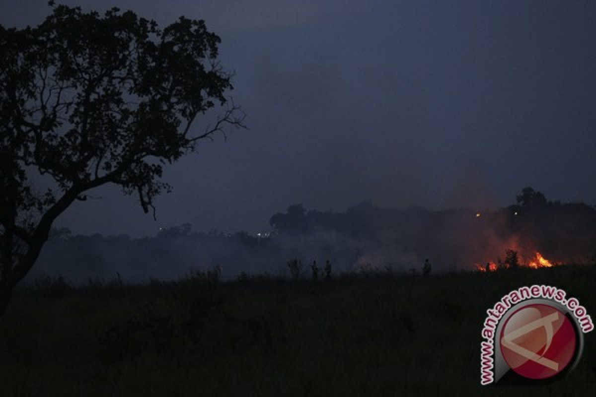 Kebakaran lahan gambut terjadi di jalan Palembang-Inderalaya