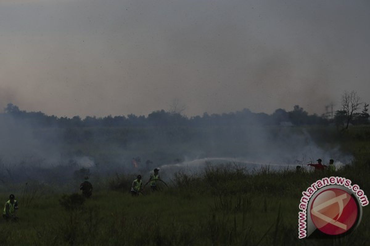 Sejumlah Kabupaten Sumsel rawan Karhutla hingga September