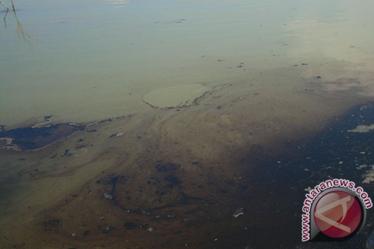 Teknologi bioremediasi mampu tanggulangi limbah minyak di laut