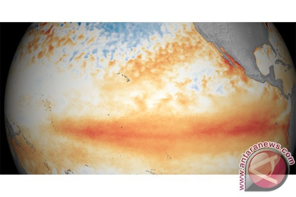 BMKG: El Nino terpantau lemah