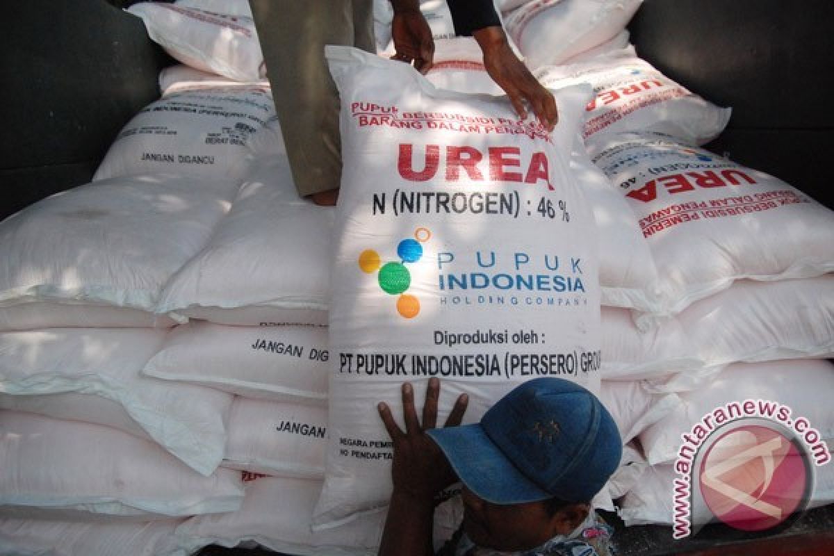 Bukan menumpuk, stok pupuk subsidi di gudang Sergai untuk alokasi tiga pekan ke depan