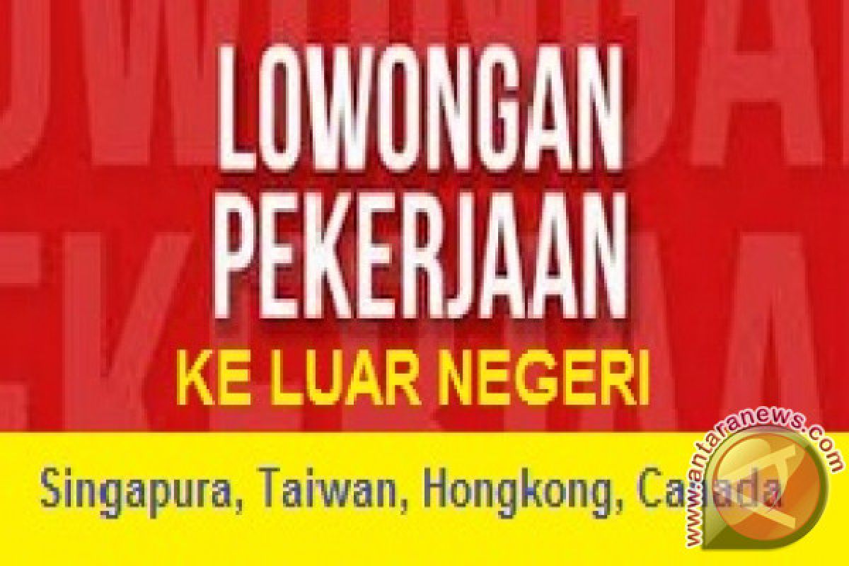 Dharmasraya Anggarkan Uang Saku Peserta Magang Luar Negeri