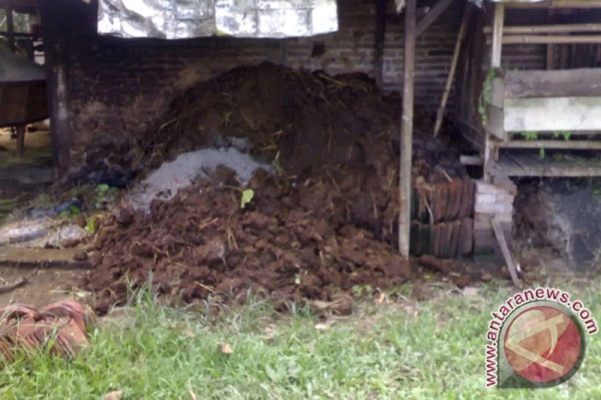 Pemkab Barito Kuala Kembangkan Biogas Kotoran Sapi 