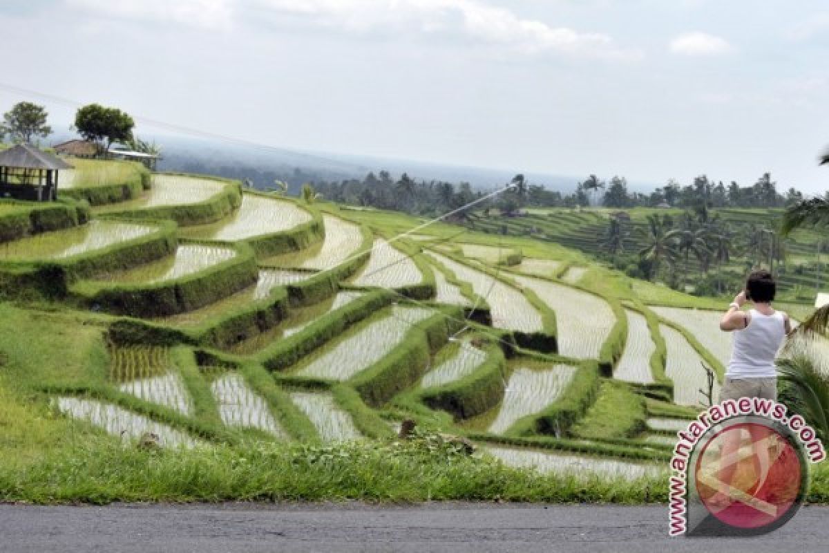 Working together to realize food security in ASEAN