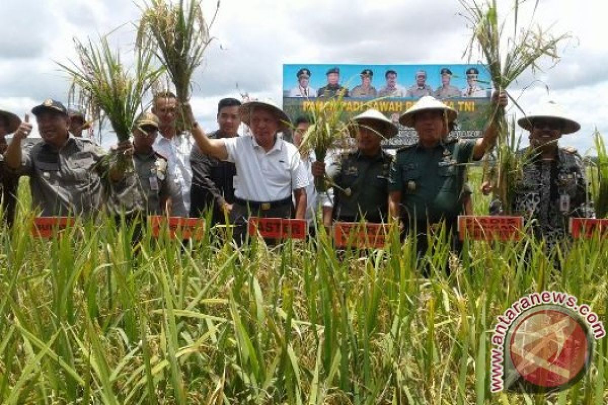 Gubernur Kaltim Optimistis Swasembada Beras 2018 Tercapai