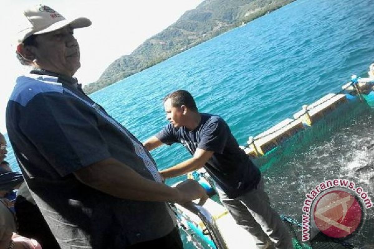 Tim Kemenko Maritim Tinjau Budidaya Bandeng Laut Donggala