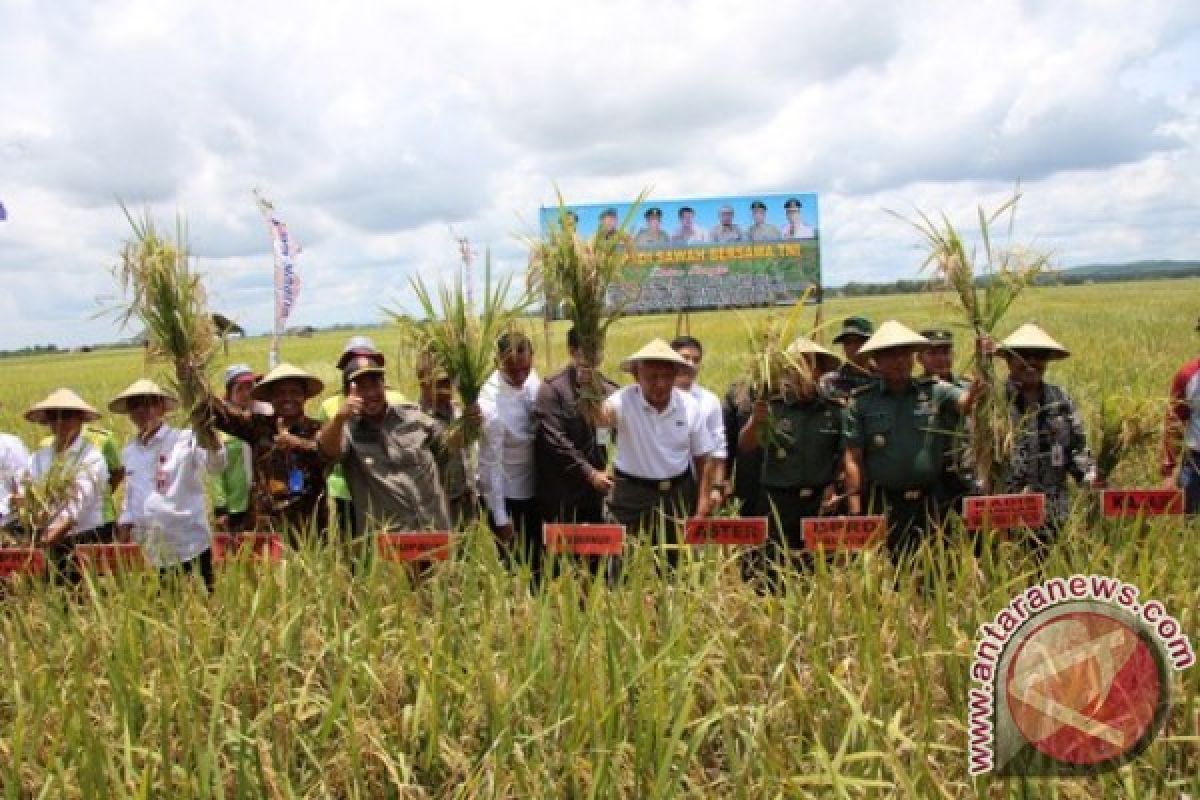 Bupati Penajam optimistis target tanam padi 21.000 hektare terealisasi