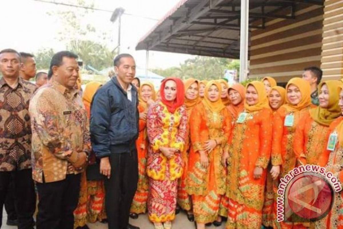 Bupati Mandailing Natal Sambut Jokowi. 