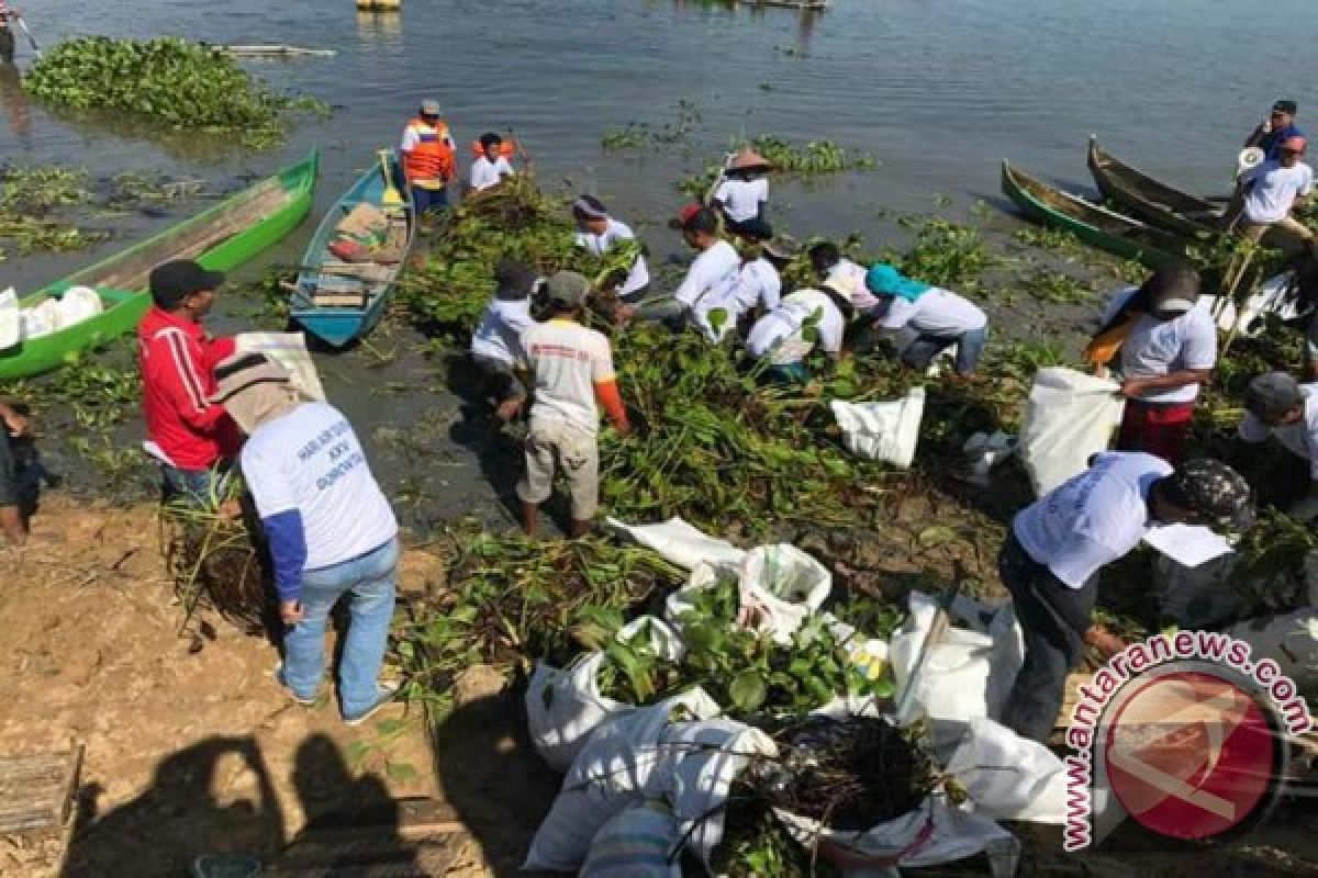 Ratusan Peserta Ikuti Lomba Bersihkan Danau Limboto