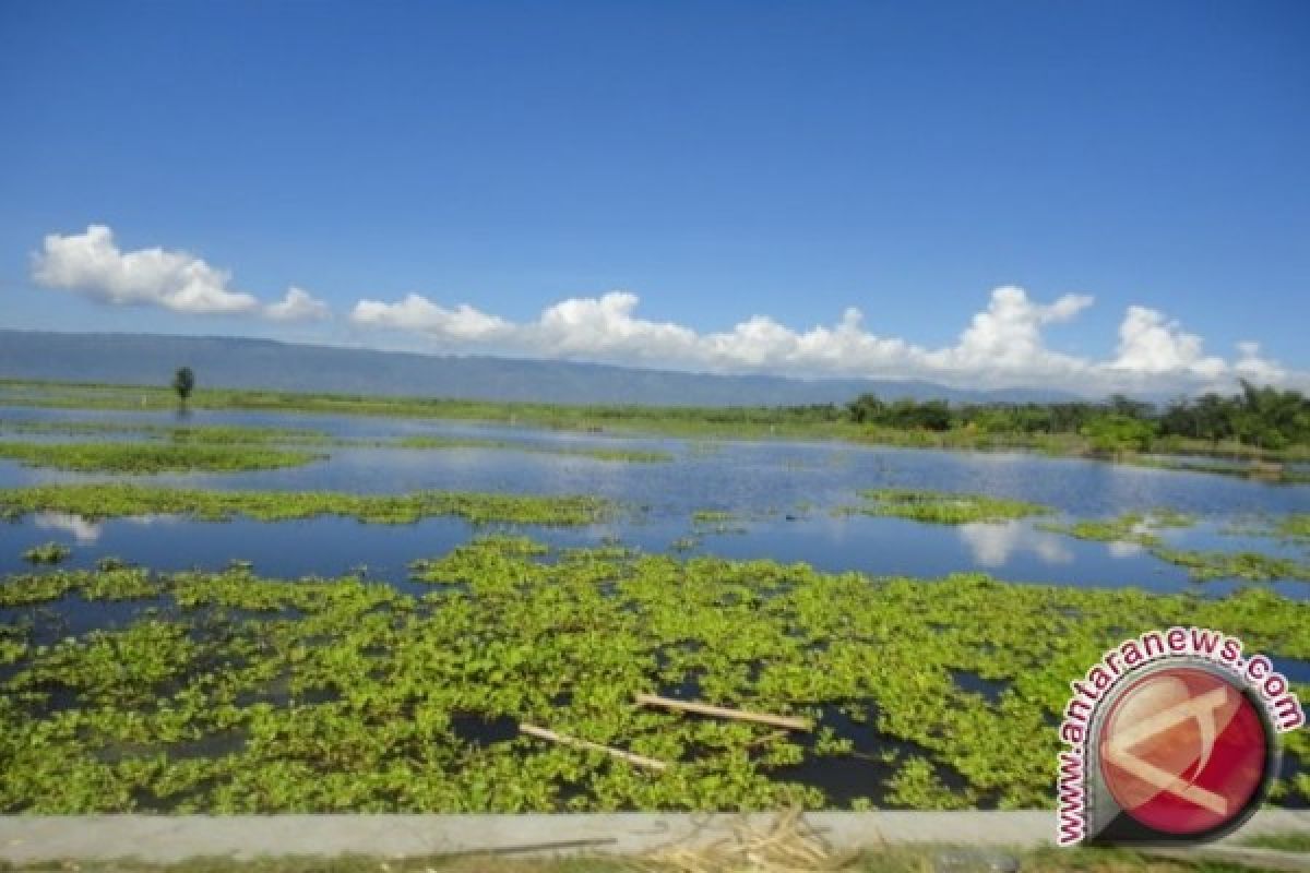 Danau Limboto masuk 15 danau kritis nasional