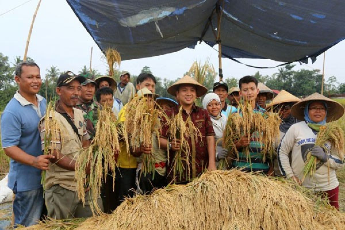 Ini Dia, Ada Klinik Pertanian Keliling Di Lampung